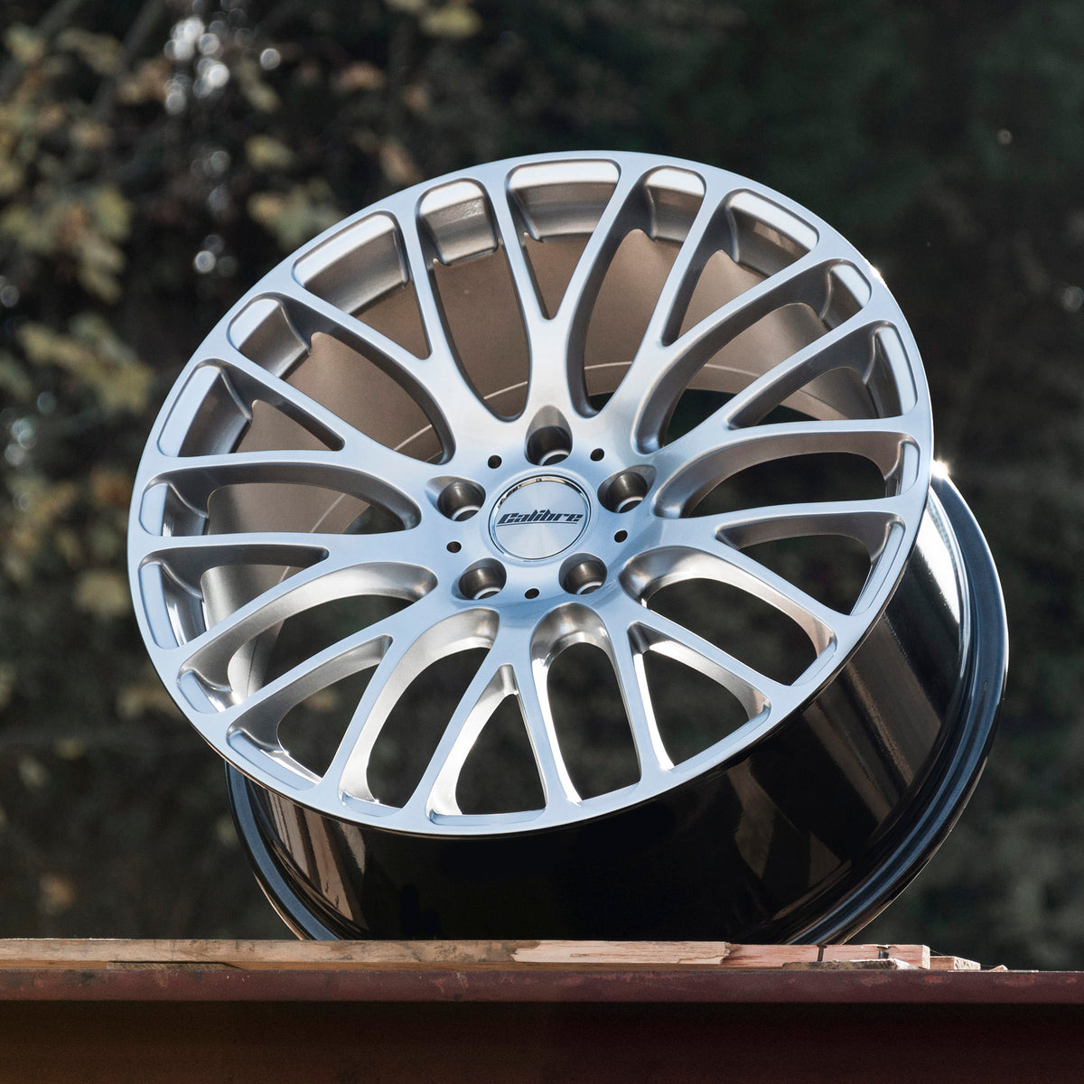 Calibre Altus alloy wheels